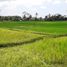  Land for sale in Tampak Siring, Gianyar, Tampak Siring