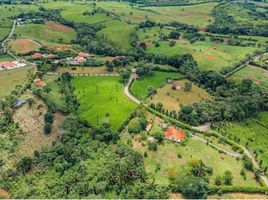  Terrain for sale in Herrera, La Chorrera, Herrera