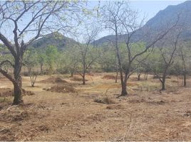  Land for sale in Allende, Nuevo Leon, Allende