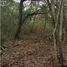  Land for sale in Allende, Nuevo Leon, Allende
