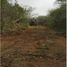 Land for sale in Allende, Nuevo Leon, Allende