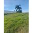  Land for sale in Jamundi, Valle Del Cauca, Jamundi