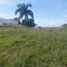  Land for sale in Jamundi, Valle Del Cauca, Jamundi