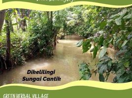  Land for sale in South Sulawesi, Bantimurung, Maros, South Sulawesi