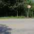  Land for sale in Palizada, Campeche, Palizada