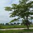  Land for sale in Jalpa De Mendez, Tabasco, Jalpa De Mendez, Tabasco