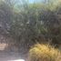  Terreno (Parcela) en venta en Corregidora, Querétaro, Corregidora