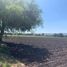  Terreno (Parcela) en venta en Corregidora, Querétaro, Corregidora