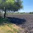  Terreno (Parcela) en venta en Corregidora, Querétaro, Corregidora