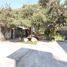  Land for sale in Cuauhtemoc, Mexico City, Cuauhtemoc