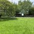 Land for sale in Contepec, Michoacan, Contepec