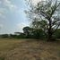 Land for sale in Cunduacan, Tabasco, Cunduacan
