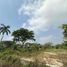  Land for sale in Cunduacan, Tabasco, Cunduacan
