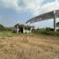  Land for sale in Cunduacan, Tabasco, Cunduacan