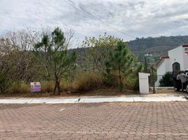  Terreno (Parcela) en venta en Zapopan, Jalisco, Zapopan