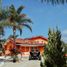 在Baja California出售的 土地, Tecate, Baja California