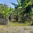  Land for sale in Sewon, Yogyakarta, Sewon, Bantul