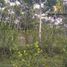  Terrain for sale in Sumurbandung, Bandung, Sumurbandung