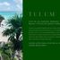 1 Schlafzimmer Appartement zu verkaufen in Cozumel, Quintana Roo, Cozumel