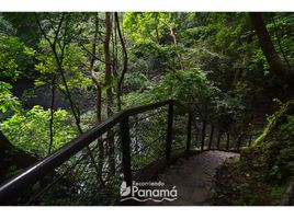  Grundstück zu verkaufen in Chame, Panama Oeste, Bejuco