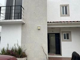 Maison 3 chambre à louer à Toluca, Mexico, Toluca