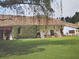 6 Bedroom House for sale in Sesquile, Cundinamarca, Sesquile