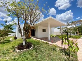 3 Schlafzimmer Wohnung zu verkaufen in Merida, Yucatan, Merida, Yucatan