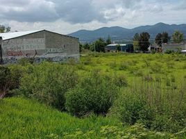  Land for rent in Morelia, Michoacan, Morelia, Michoacan