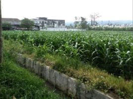  Land for sale in Kidung Kandang, East Jawa, Kidung Kandang