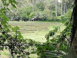  Land for sale in Selemadeg, Tabanan, Selemadeg