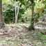  Land for sale in Selemadeg, Tabanan, Selemadeg