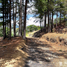  Land for sale in El Valle, Cocle, El Valle