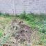  Land for sale in Atenco, Mexico, Atenco