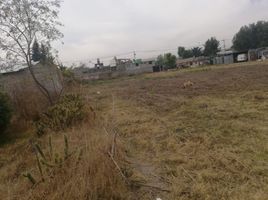  Land for sale in Atenco, Mexico, Atenco