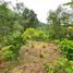  Land for sale in Vilcabamba Victoria, Loja, Vilcabamba Victoria, Loja, Loja