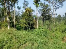  Land for sale in Tanggul, Jember, Tanggul