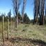  Grundstück zu verkaufen in Cushamen, Chubut, Cushamen, Chubut