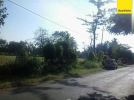  Land for sale in Probolinggo, East Jawa, Lumbang, Probolinggo