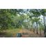 Studio Villa zu verkaufen in Chiriqui, Chiriqui, Chiriqui, David