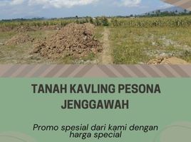  Land for sale in Jenggawah, Jember, Jenggawah