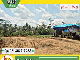  Land for sale in Kepanjen, Malang Regency, Kepanjen