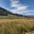  Land for sale in Alumine, Neuquen, Alumine