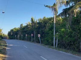  Land for sale in Dauis, Bohol, Dauis