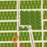  Land for sale in Yobain, Yucatan, Yobain
