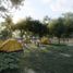  Land for sale in Yobain, Yucatan, Yobain