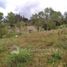  Land for sale in Choachi Cundinamarca, Choachi