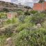  Grundstück zu verkaufen in San Luis Potosi, San Luis Potosi, San Luis Potosi, San Luis Potosi