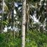  Land for sale in Dauin, Negros Island Region, Dauin
