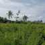  Land for sale in Dauin, Negros Island Region, Dauin