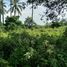  Land for sale in Dauin, Negros Island Region, Dauin